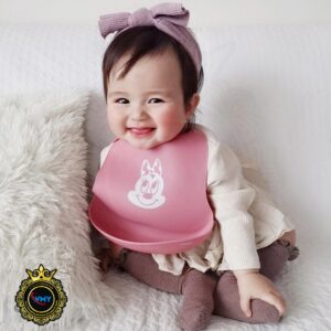 Nico Teether Disney Silicone Bib (Meal Bib)